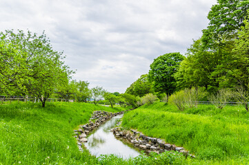 初夏の新緑と小川　ほたる童謡公園