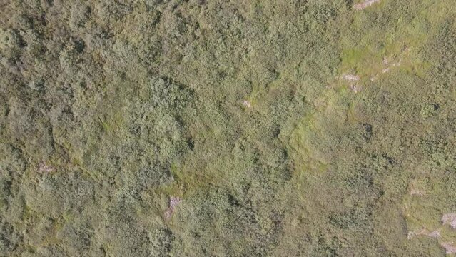 Aerial view of Eldborg crater near Borgarnes in Western Iceland