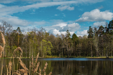 Beautiful spring lake in a public forest park. Spring early evening, sunny day, blue sky with clouds. Northern nature, beginning of spring. Banner idea