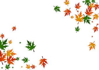 Brown Foliage Background White Vector. Leaves Down Pattern. Orange Logo. National Design. Gold Leaf September.