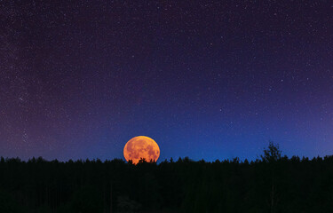 Red blood color Full Moon Rising In starry night stars sky above dark forest. Moonrise Above Summer...