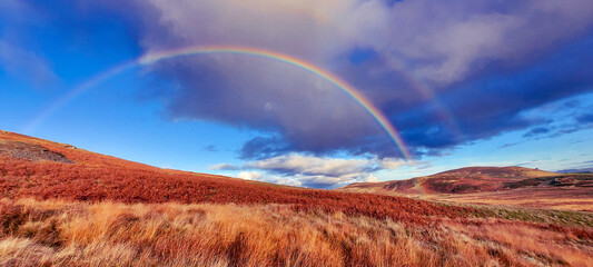 Autumn Rainbow