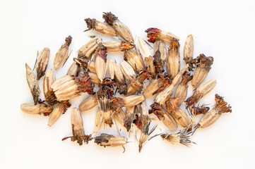 Heap of marigold seeds on white background. Top view