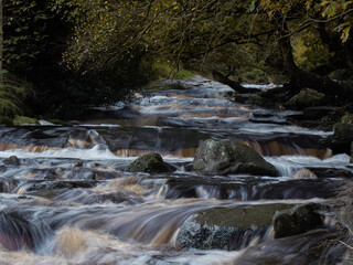 waterfall in the forest