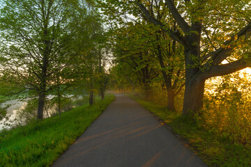 Fototapeta na wymiar Asphalt path for bikes near Ceske Budejovice city in spring fresh morning