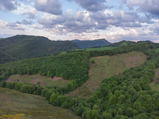Slopes of the Aezkoa Valley. Berrendi in the background