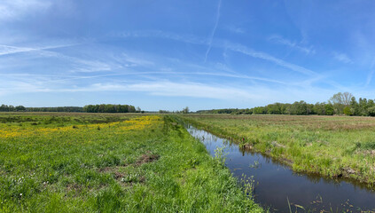 Fototapeta na wymiar Panorama from a grassfield with yellow flowers and a canal