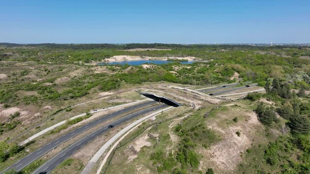 4k cinematic aerial video of ecoduct fauna passage crossing a highway in the dunes near Zandvoort, the Netherlands