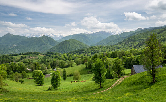 Green mountain landscape in Ariege Pyrenees France