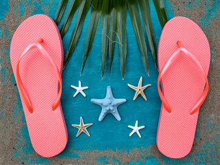 Pair of pink flip-flops, green palm leaf and several seafish on aquamarine background