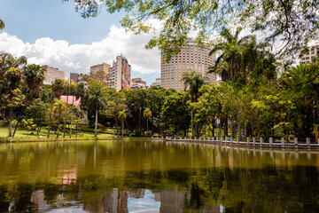 Fototapeta premium Pond in Belo Horizonte Municipal Park, Belo Horizonte, Minas Gerais, Brazil.