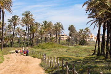 Vega Baja del Segura - Torrevieja - Un oasis junto al mar en Cala Ferris