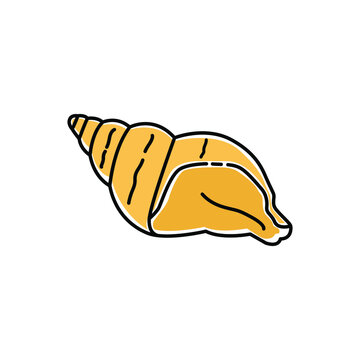 Sea shell, beach, summer.Illustration, vector, design, icon
