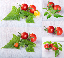 Young beautiful cherry tomatoes on a branch with beautiful young leaves with dew drops on a light wooden background