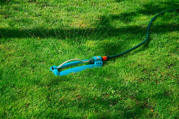 Modern oscillating sprinkler on the mown lawn in the garden - obrazy, fototapety, plakaty