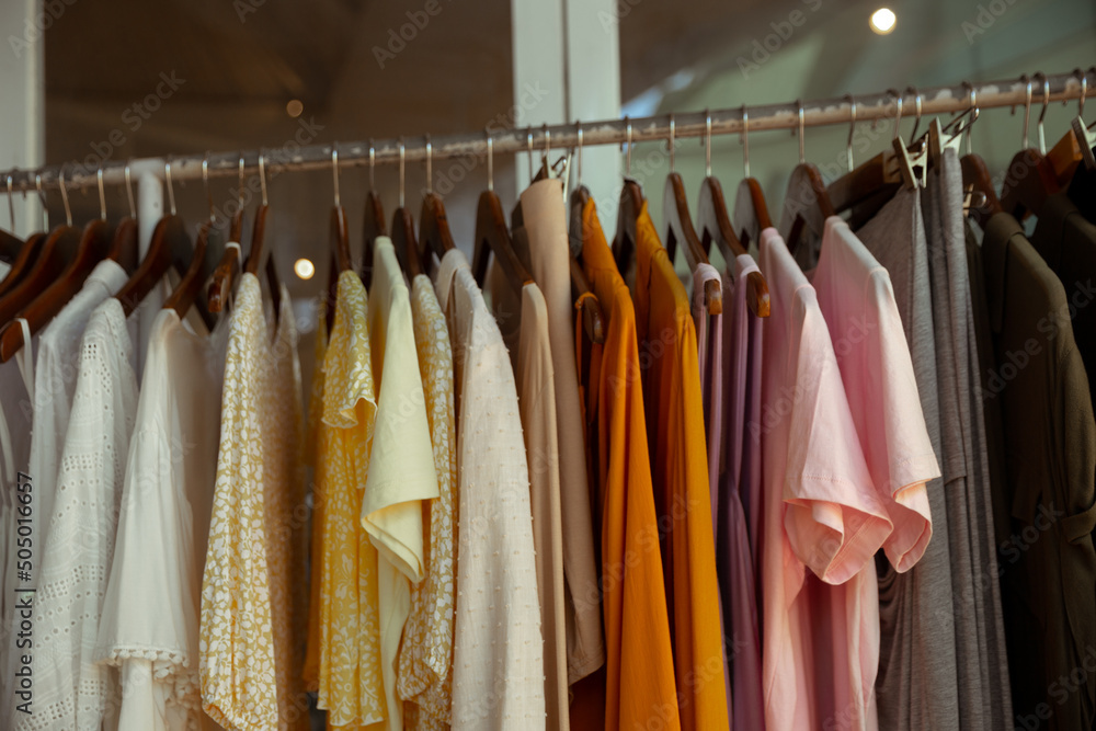 Wall mural Hangers with different female clothes presenting at the retail store.