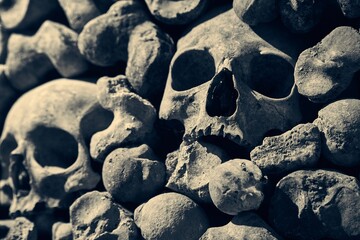 Skulls and bones in a wall