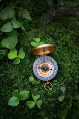 retro compass on moss, dark natural forest background. Navigation Orientation concept in explore,...