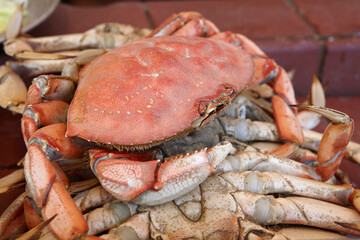 Dungeness crab in Fisherman's Wharf, San Francisco, California, USA