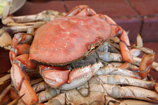 Dungeness Crab In Fisherman's Wharf, San Francisco, California, USA