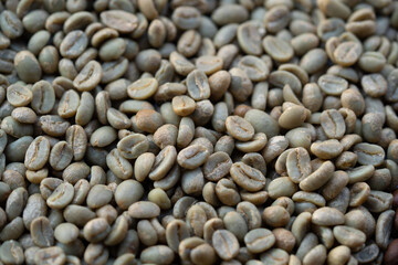 Raw coffee beans