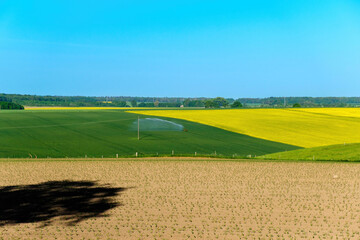 Irrigation system in function watering agricultural plants