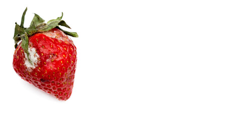 Spoiled strawberries