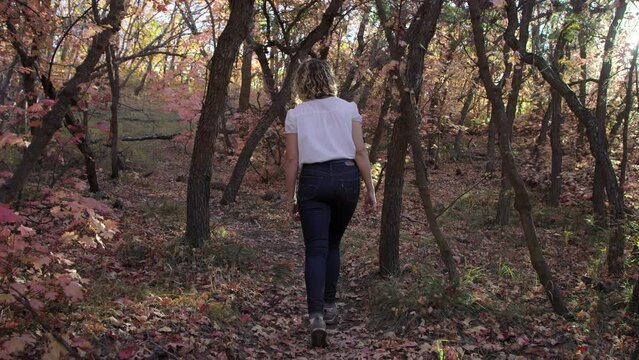 Follow behind woman hiking in colorful forest at sunset in slow motion