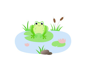 Cute green frog on the leaf