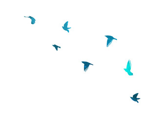 A flock of blue birds. Vector illustration