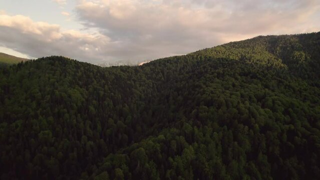 green forest in mountains from drone bird view, sunset, snow
