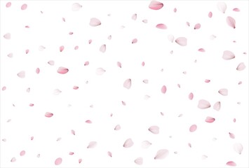 Sakura petals. Cherry petals backdrop