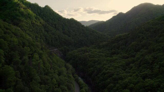 green road in mountains, forest from drone bird view, sunset