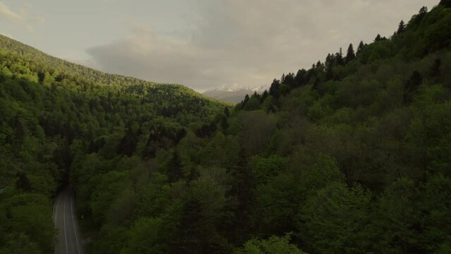 green road in mountains, forest from bird view and snow