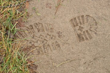 one imprint soles of shoes on wet brown earth in the street