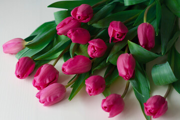 A bouquet of fresh pink tulips lies on a white wooden table