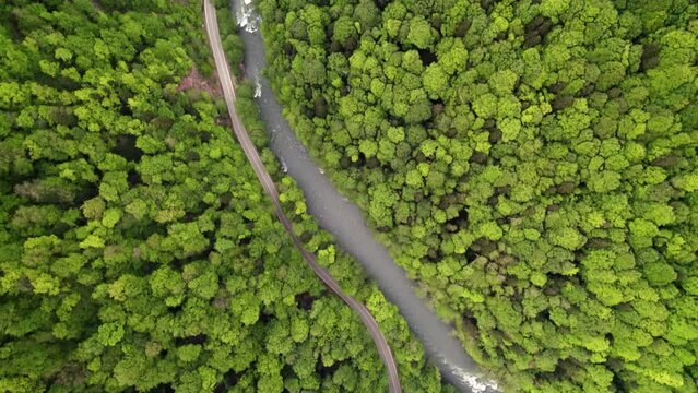 green road in mountains, forest from bird view, road, mountains