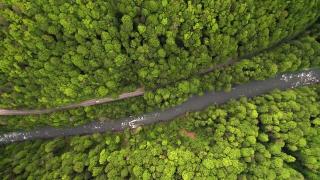 green road in mountains from drone