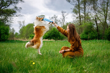 Interaction between dog and owner. Girl playing with her pet outdoors.
