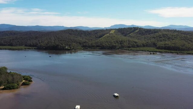 Oyster shellfish farms in Clyde river of Batemans bay town of Australia &ndash; 4k.
