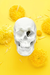 Human skull with flowers on yellow background