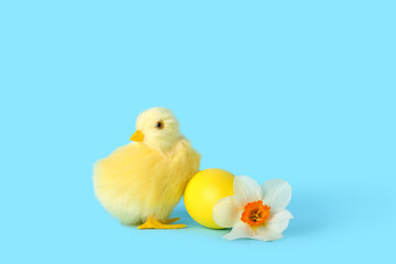 Cute yellow chicken, Easter egg and flower on blue background