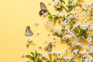 Blooming spring branches and butterflies on yellow background
