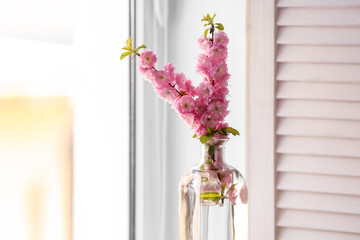Glass vase with blooming branches near window, closeup