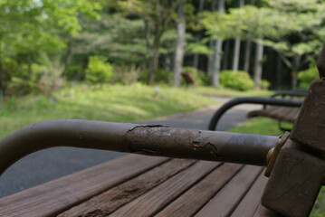 新緑の公園に佇むベンチ
