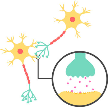 シナプスと神経伝達物質のイメージ