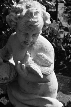 Statue of angel and dove