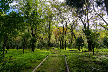 秋の石川県林業試験場樹木公園
