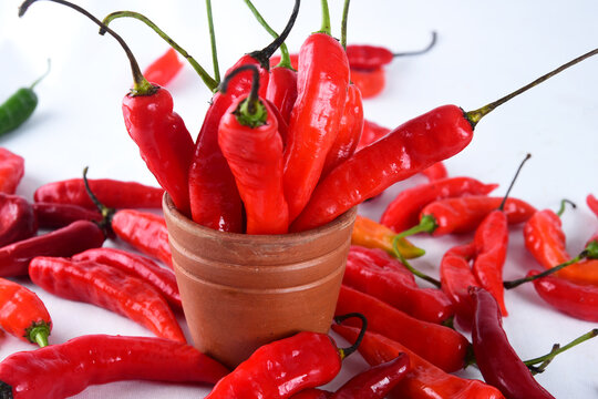 red pepper pickles spicy natural food, natural plant condiment and spicy seasoning for food