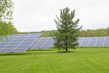 A solar farm is located in a public park. Renewable energy concept. Ecology concept.